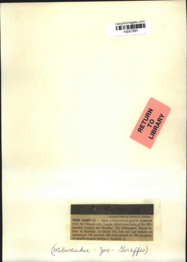 1969 Press Photo Spot with her colt Laura which was born at Milwaukee County Zoo