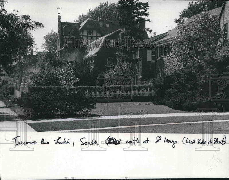 Load image into Gallery viewer, 1976 Press Photo Looking south along Terrace Avenue, gracious homes, Milwaukee.
