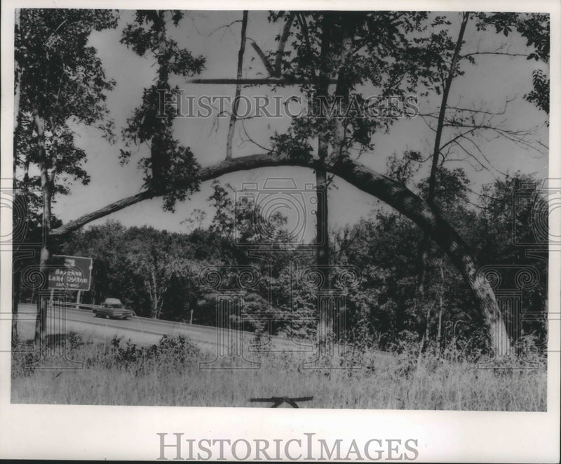 Load image into Gallery viewer, 1966 Press Photo Indian and modern road signs on Interstate 90-94 - mjb53441

