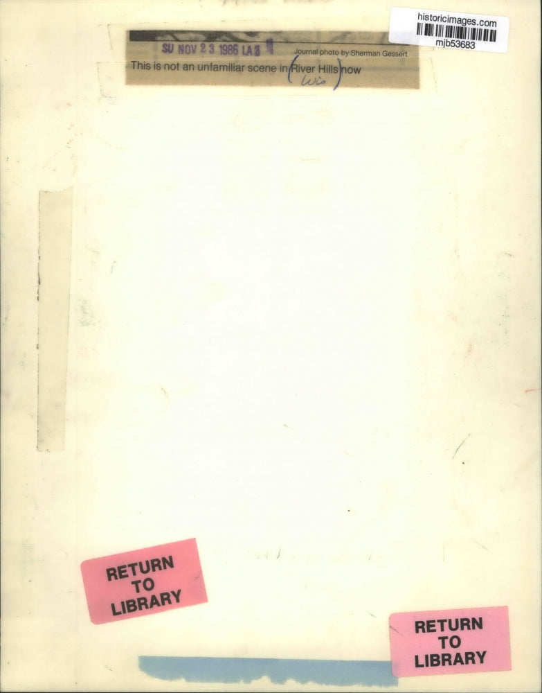 1986 Press Photo Deer Standing in Woods, River Hills, Wisconsin - mjb53683