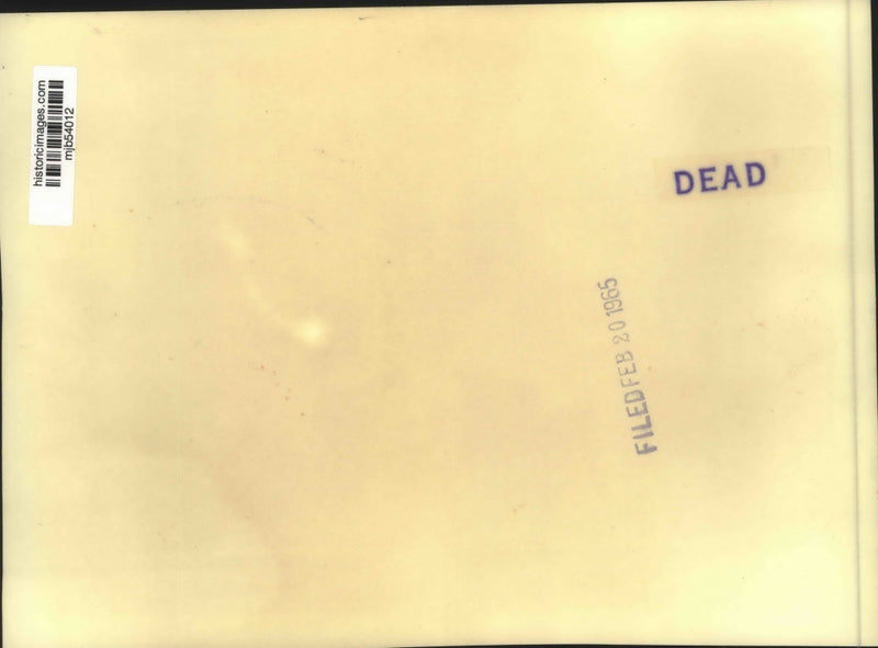 Load image into Gallery viewer, 1965 Press Photo Attendees of the Global Peace Conference at NY Hilton Hotel
