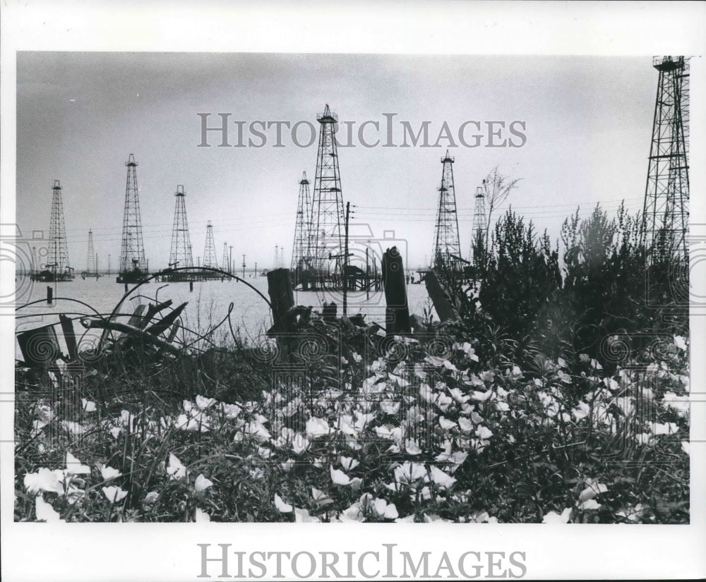 1978 Press Photo Old Perricks Remain In Shallow Tidal Water Near Houston