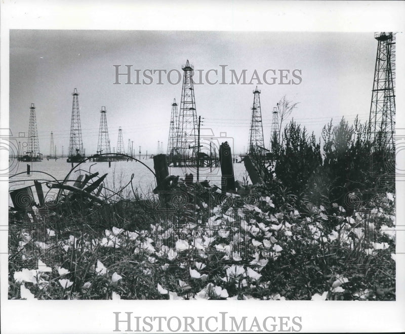 Load image into Gallery viewer, 1978 Press Photo Old Perricks Remain In Shallow Tidal Water Near Houston

