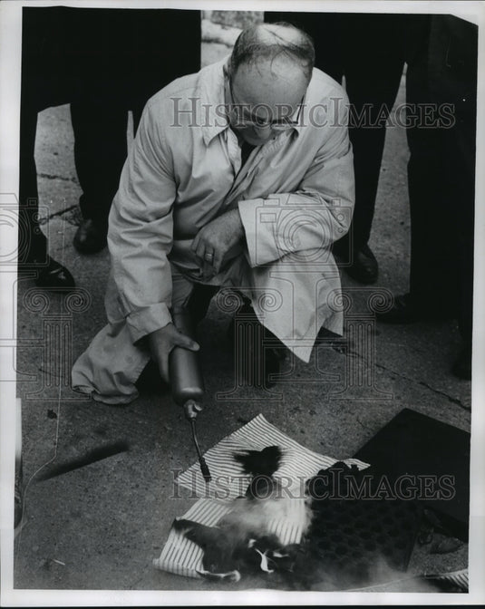 1964 Press Photo Wes J Budziszewski, shows mattress County Purchasing, Wauwatosa