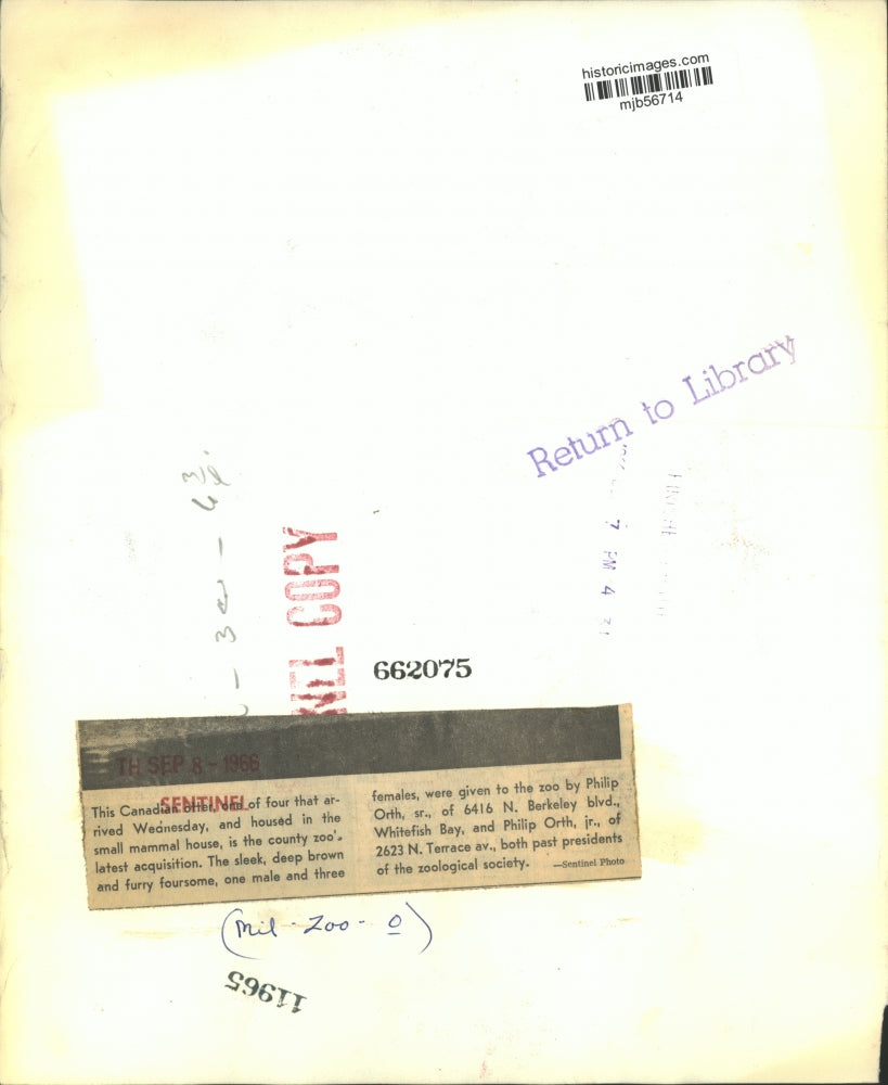 1966 Press Photo Canadian Otter Arrives At Milwaukee County Zoo - mjb56714