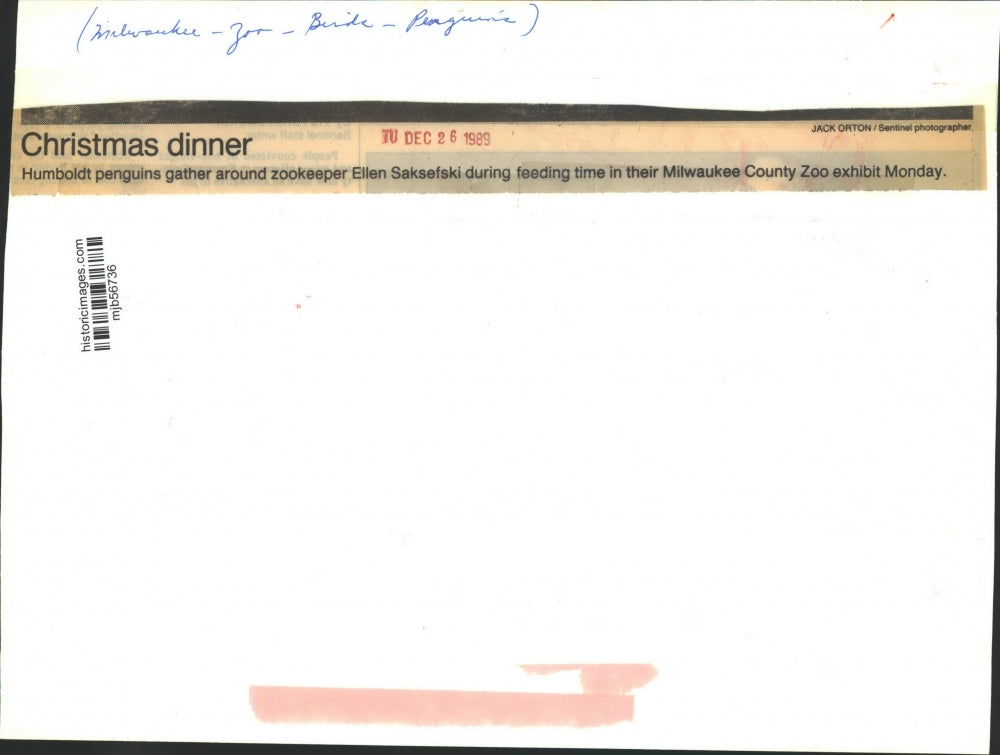 1989 Press Photo Humboldt penguins and zookeeper Ellen Saksefski at Milwaukee