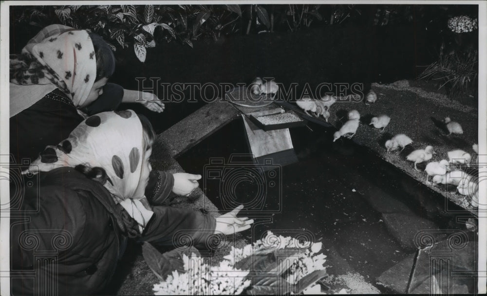 1959 Press Photo Penelope Hansen, Georgianne Lenardos at Washington park zoo