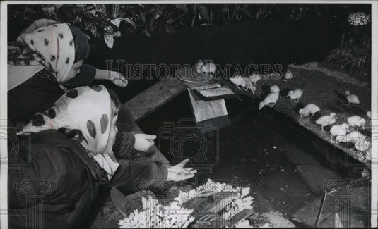 1959 Press Photo Penelope Hansen, Georgianne Lenardos at Washington park zoo