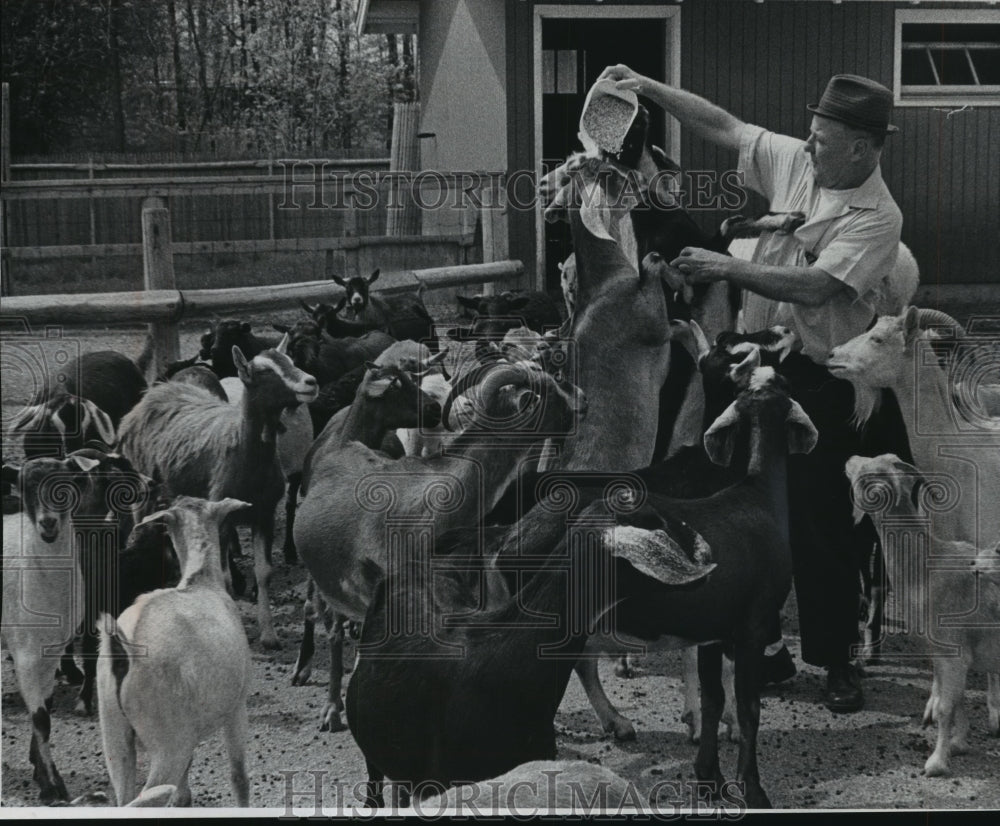 1973 Press Photo Odean Schneider feeding the goats at Milwaukee County Zoo