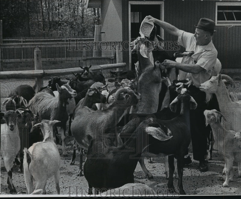 Load image into Gallery viewer, 1973 Press Photo Odean Schneider feeding the goats at Milwaukee County Zoo
