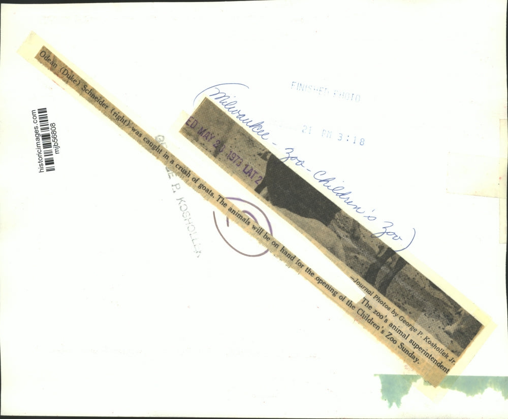 1973 Press Photo Odean Schneider feeding the goats at Milwaukee County Zoo