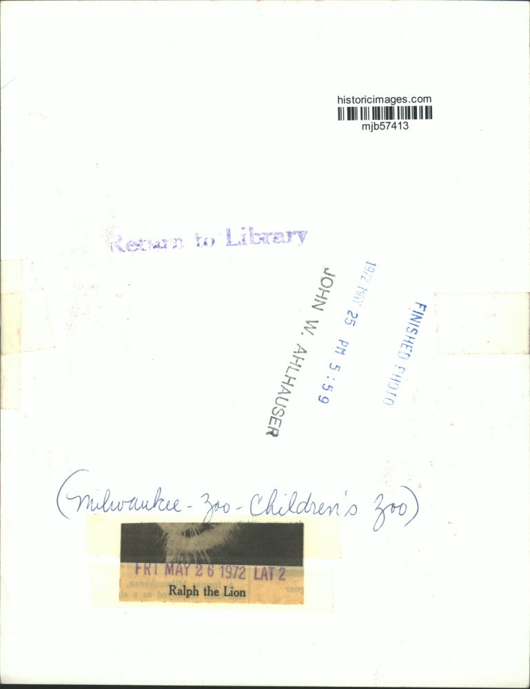 1972 Press Photo Ralph The Lion At Milwaukee Children's Zoo - mjb57413