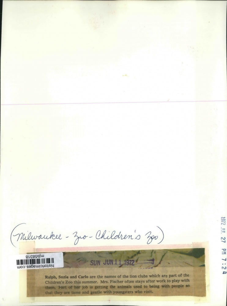 1972 Press Photo Lion Cubs at the Children's Zoo, Milwaukee - mjb58318