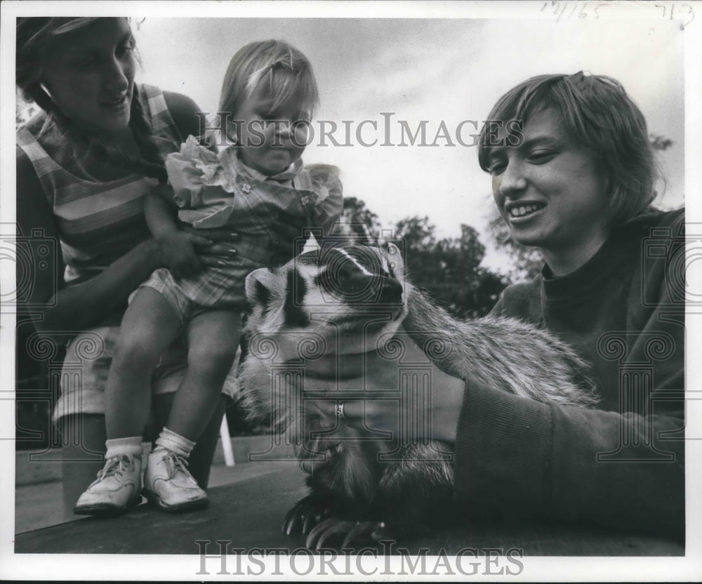 1975 Press Photo Sandra Amich, Children&#39;s Zoo attendant, holds Lydia the badger