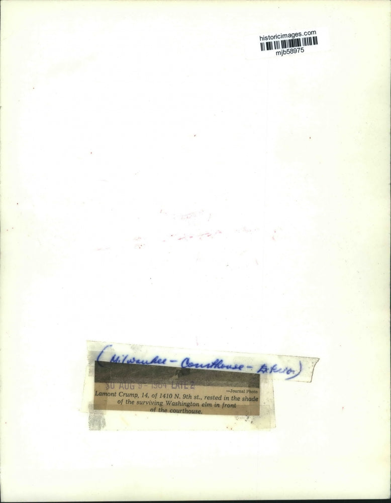 1964 Press Photo Lamont Crump Rests Under Milwaukee Courthouse Washington Elm