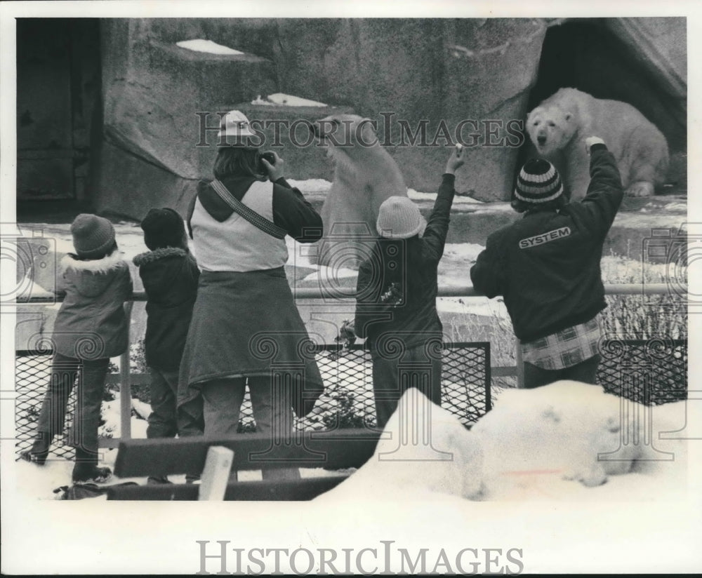 1978 Press Photo Polar Bears enjoy the cold, Milwaukee County Zoo- Historic Images