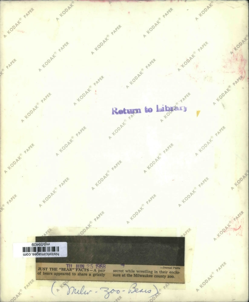 1968 Press Photo Bears Wrestling at the Milwaukee County Zoo. - mjb59409