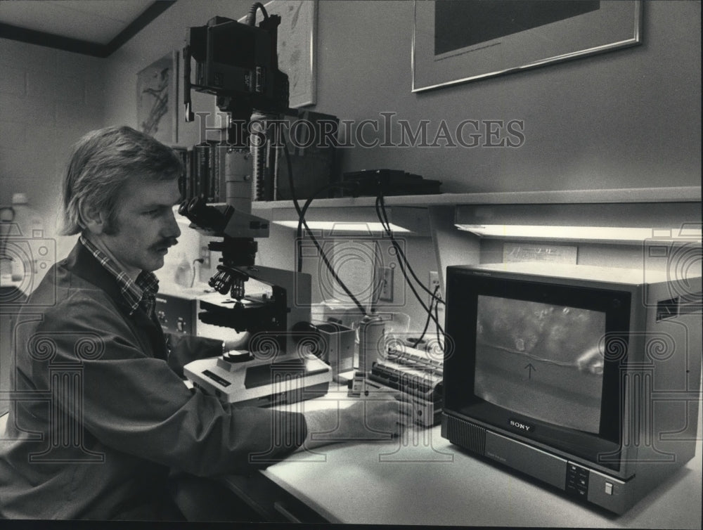 1988 Press Photo Jeff MacDonald, microbiologist looking for bacteria, Milwaukee- Historic Images