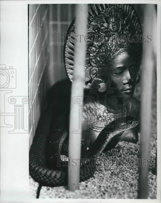 1968 Press Photo A Cobra in it's display pen at Milwaukee County Zoo - mjb59962