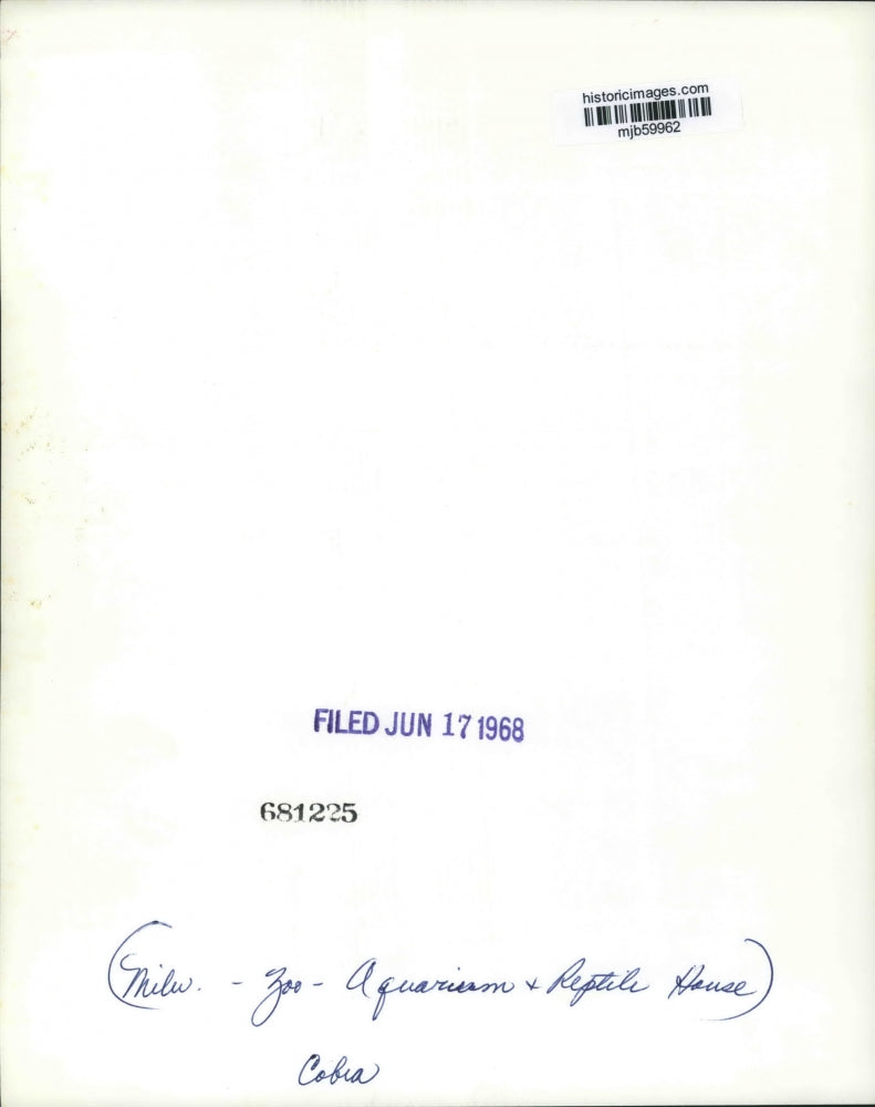 1968 Press Photo A Cobra in it's display pen at Milwaukee County Zoo - mjb59962