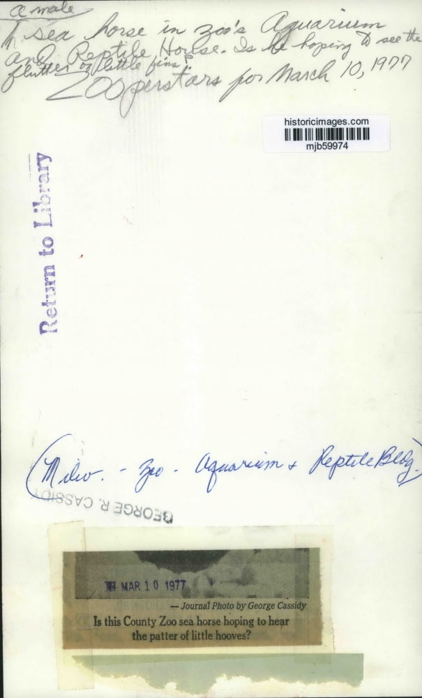 1977 Press Photo Male Sea Horse in Milwaukee Zoo Reptile House - mjb59974