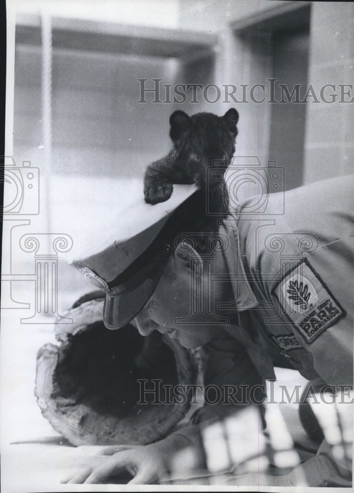 Load image into Gallery viewer, 1967 Press Photo Satin baby leopard on the neck of Richard Tiedjen Milwaukee zoo
