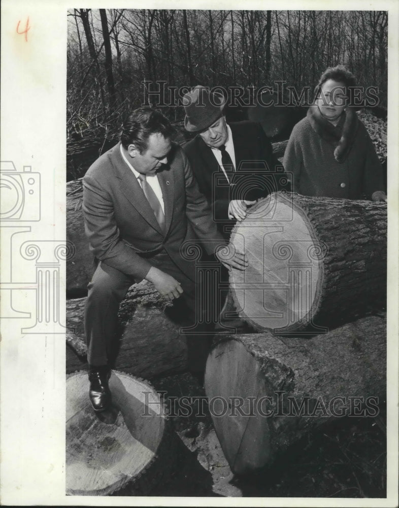 1970 Press Photo County Members Examining Logs Cut In the Root River Parkway