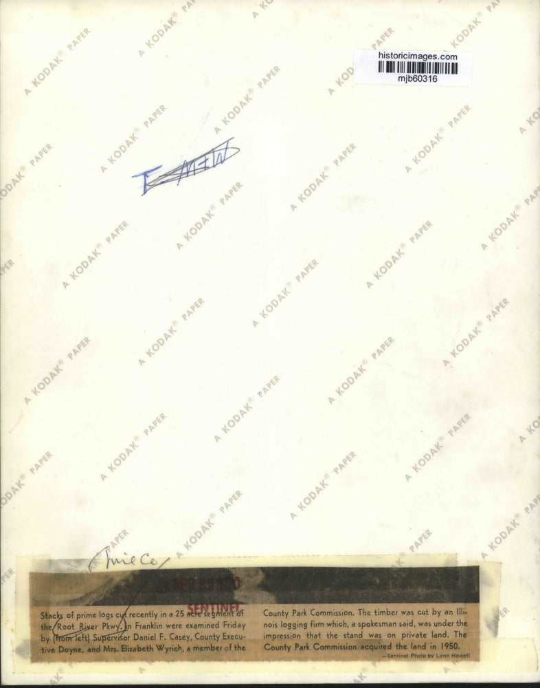 1970 Press Photo County Members Examining Logs Cut In the Root River Parkway