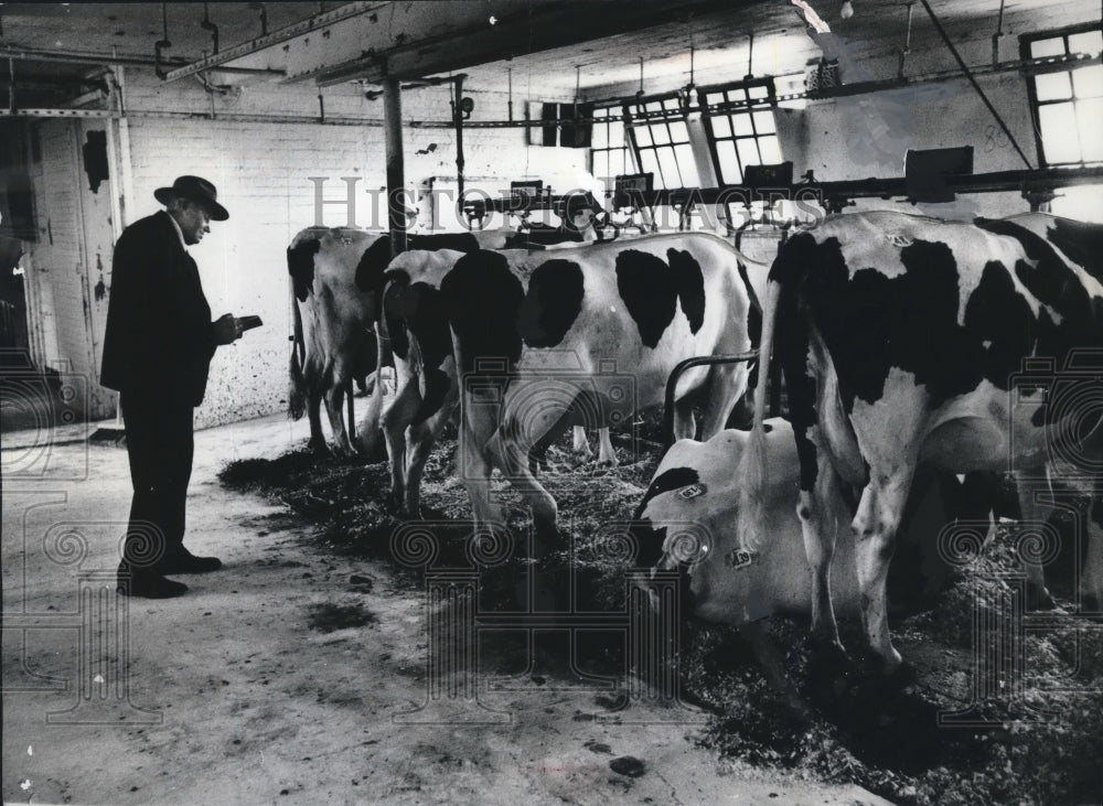 1955 Press Photo Alvin Reineking review cows at Milwaukee Center for an auction- Historic Images