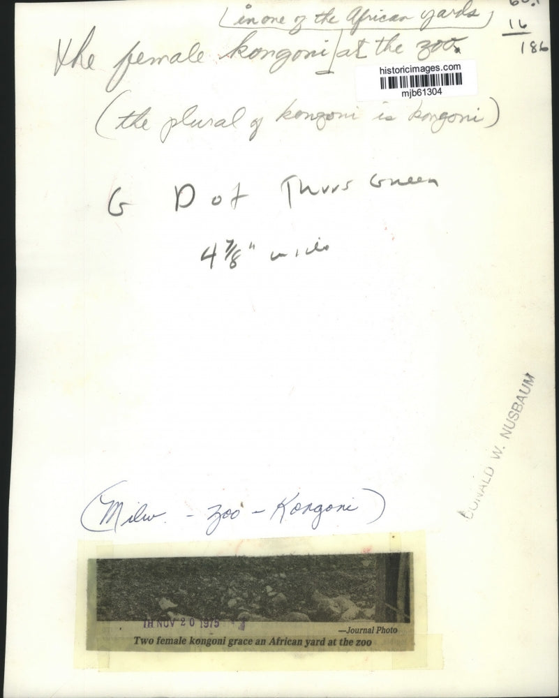 1975 Press Photo Two female kongoni in African yard, Milwaukee County Zoo