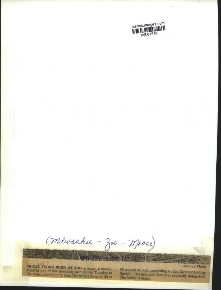 1970 Press Photo Moose with Twin Calves at the Milwaukee County Zoo in Wisconsin