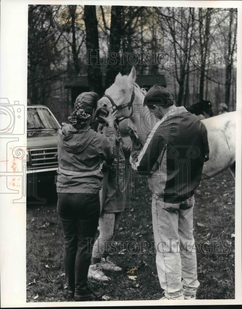 1994 Press Photo People test an Arabian horse&#39;s capillary refill time- Historic Images