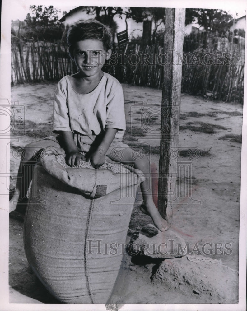 1954 Press Photo Greece, boy atop a sack of rice taken in current harvest.