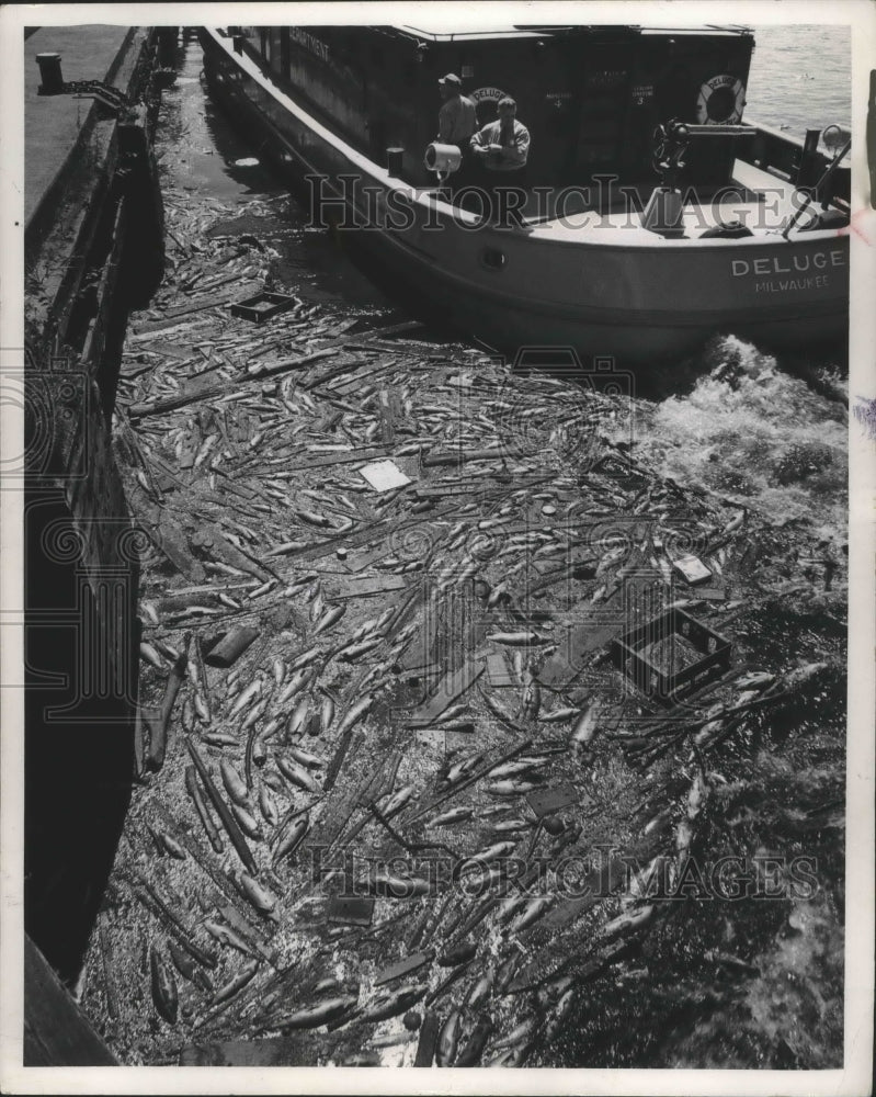 1958 Press Photo Fish & debris pollute Milwaukee River next to a Deluge boat