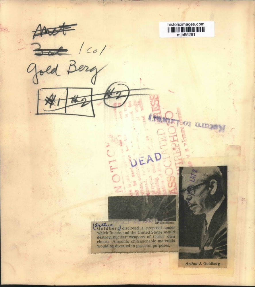 1965 Press Photo Arthur Goldberg, US and Russia to destroy nuclear weapons