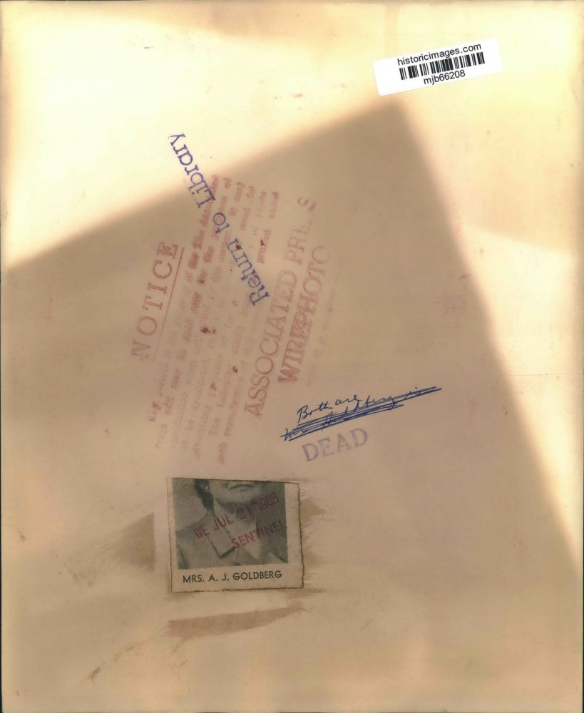 1965 Press Photo President Johnson, Arthur J. Goldberg & family in Washington