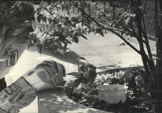  Press Photo Outside Art Museum Schlidt drops popcorn for Gertrude, Milwaukee.- Historic Images