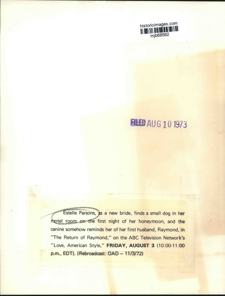 1973 Press Photo Estelle Parsons, stars in "The Return of Raymond" ABC