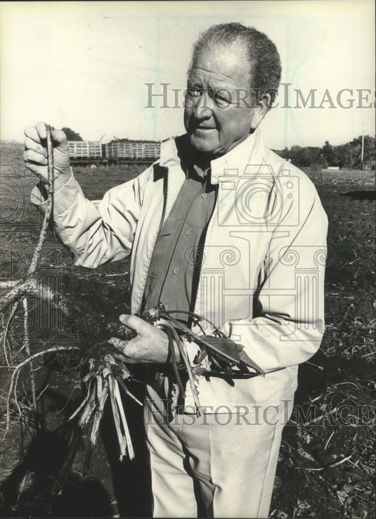 1961 Press Photo President William Nelson Sr.of Huntsinger Farms-horseradish- Historic Images