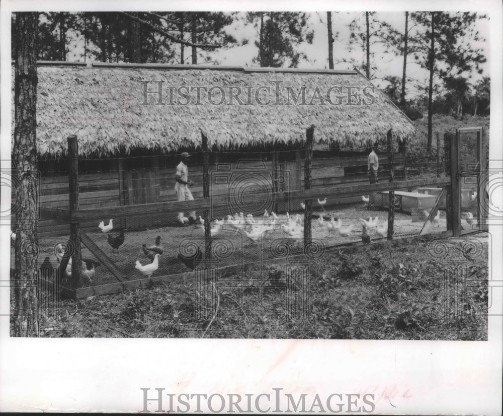 1971 Press Photo Rio Coco experimental farm in Nicaragua funded by Hunger Hike