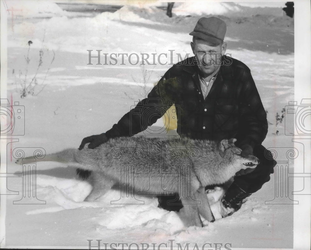1960 Press Photo Clarence Marguardt, of Shawano, with coyote worth $20 bounty