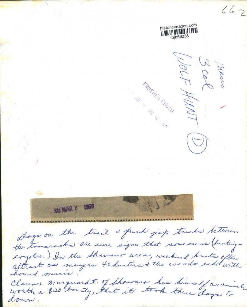 1960 Press Photo Clarence Marguardt, of Shawano, with coyote worth $20 bounty