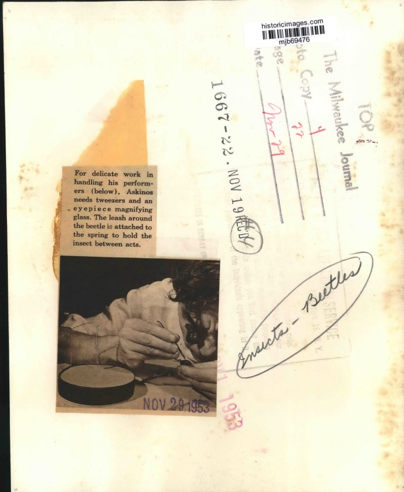 Load image into Gallery viewer, 1953 Press Photo Askinos uses eyepiece and tweezers to attached leash to beetle
