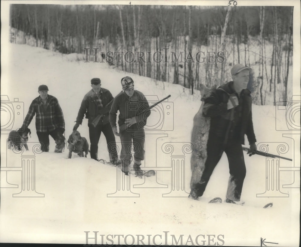 1951 Press Photo Hunters Walking Back to Home with Coyotes- Historic Images