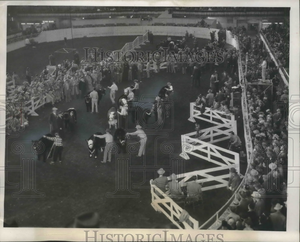 1953 Press Photo Amphitheater at International Livestock exposition, Chicago.
