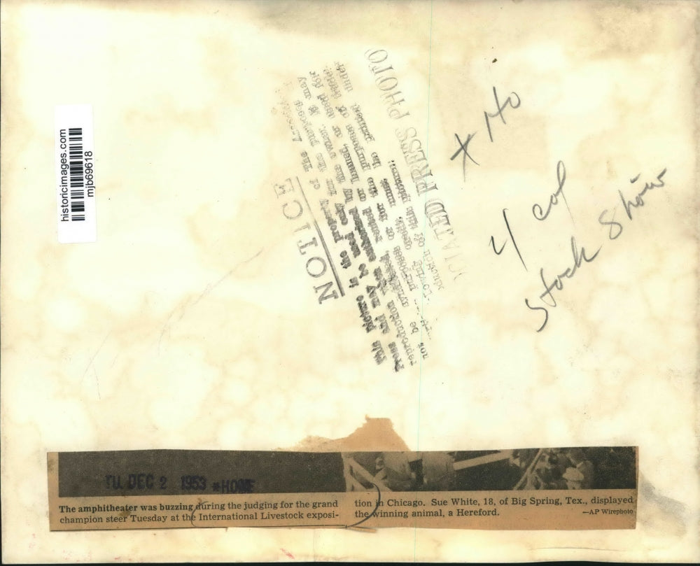 1953 Press Photo Amphitheater at International Livestock exposition, Chicago.