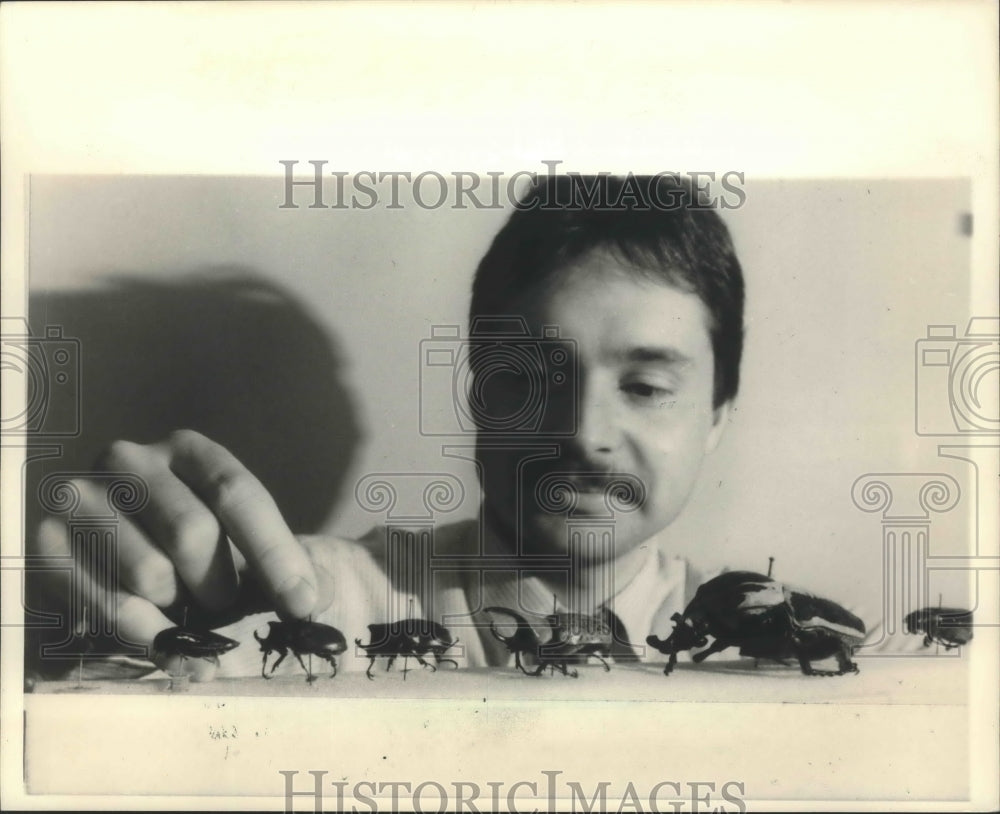 1987 Press Photo Scott Shaw, Museum of Comparative Zoology, with beetles- Historic Images