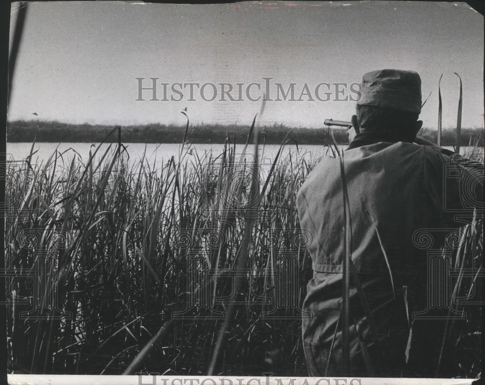 1969 Press Photo Duck hunter aiming his gun while in the marsh - mjb69687