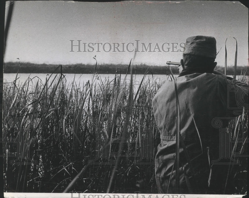 Load image into Gallery viewer, 1969 Press Photo Duck hunter aiming his gun while in the marsh - mjb69687
