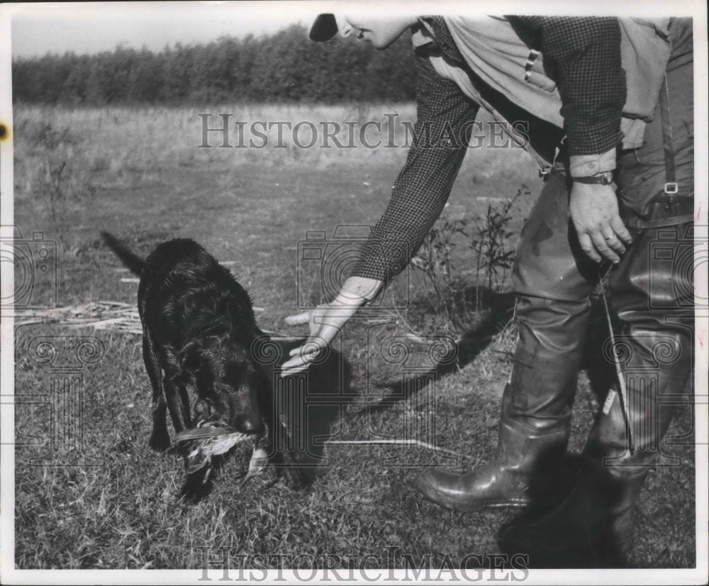 1960 Press Photo Martin Weber hunting ducks at the Rock River near Ashippun, WI